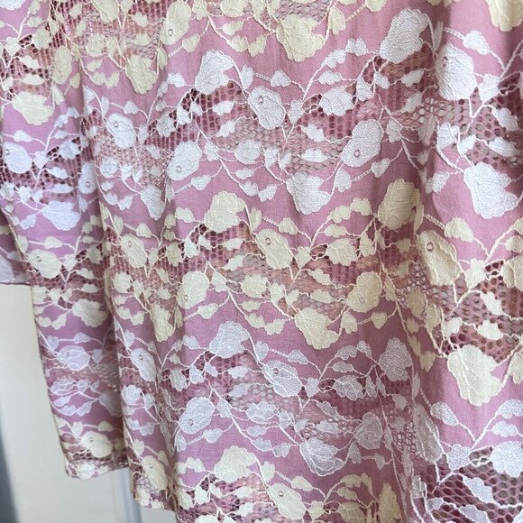 Zara Pink Lace Mesh Floral Cropped Boxy Short Sleeve Top Size S - Picture 4 of 5